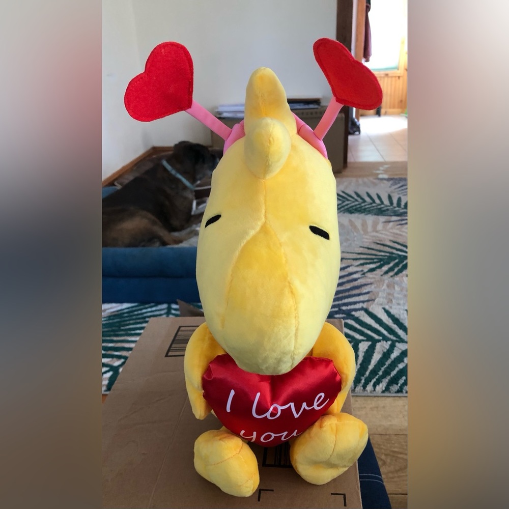 Peanuts Woodstock